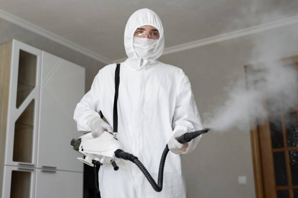 Professional Mold Removal Services in Alpha, NJ